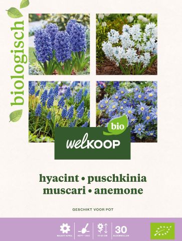 Welkoop Hyacint Biologisch Blauwe druifjes Anemone - Bloembollen - Gemengd - 30 stuks