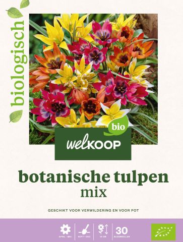 Welkoop Tulp Biologisch Botanische mix - Bloembollen - Gemengd - 30 stuks