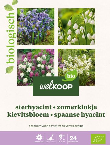 Welkoop Hyacint Allium Krokus Biologisch - Bloembollen - Gemengd - 24 stuks