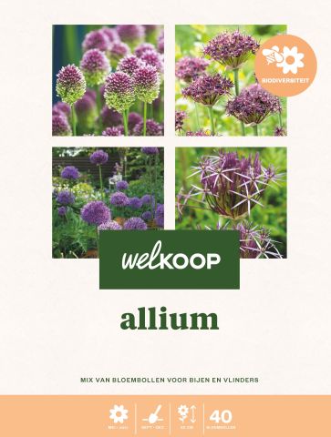 Welkoop Allium Biodiversiteit - Bloembollen - Gemengd - 40 stuks