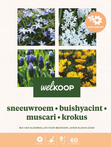 Welkoop Blauwe druifjes Hyacint Sneeuwroem Krokus Biodiversiteit - Bloembollen - Gemengd - 60 stuks