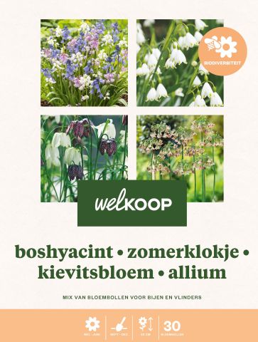 Welkoop Hyacint Kievitsbloem Allium Biodiversiteit  - Bloembollen - Gemengd - 30 stuks
