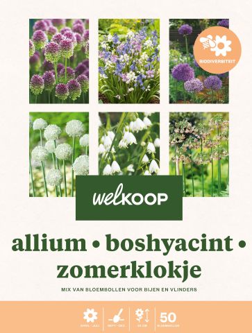 Welkoop Hyacint Zomerklokje Allium Biodiversiteit - Bloembollen - Gemengd - 50 stuks