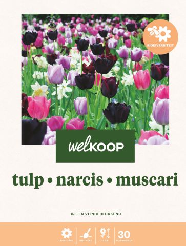 Welkoop Tulp Narcis Blauwe druifjes Biodiversiteit - Bloembollen - Gemengd - 30 stuks