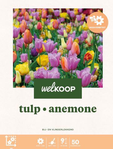 Welkoop Tulp Anemone - Biodiversiteit - Bloembollen - Multi - 50 stuks