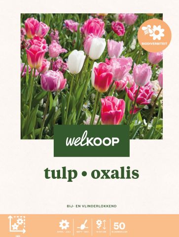 Welkoop Tulp Oxalis Biodiversiteit - Bloembollen - Multi - 50 stuks