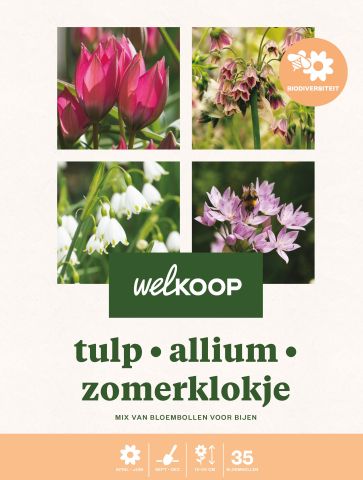 Welkoop Tulp Allium Zomerklokje - Biodiversiteit - Bloembollen - Multi - 35 stuks