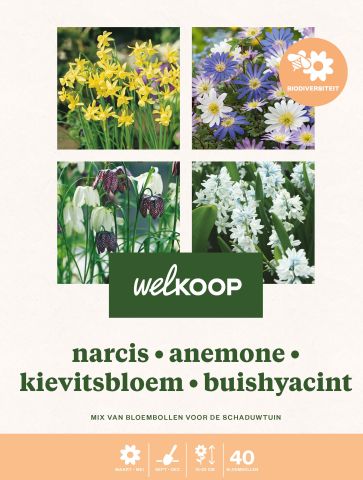 Welkoop Narcis Anemone Kievitsbloem Buishyacint - Biodiversiteit - Bloembollen - Multi - 40 stuks