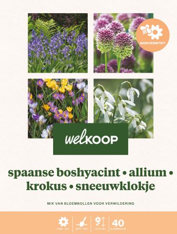 Welkoop Spaanse boshyacint Allium Krokus Sneeuwklokje - Biodiversiteit - Bloembollen - Multi - 40 stuks