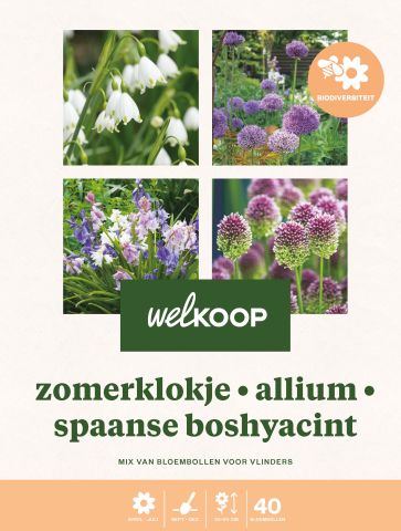 Welkoop Zomerklokje  Allium Spaanse Boshyacint - Biodiversiteit - Bloembollen - Multi - 40 stuks