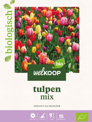 Tulp Triumph - Bloembollen - Gemengd - 20 stuks