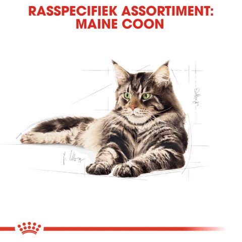 Royal Canin Maine Coon Adult Pouch - Kattenvoer - 0,012 kg