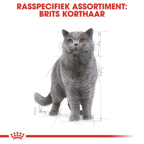 Royal Canin British Shorthair Adult Pouch - Kattenvoer - 0,012 kg