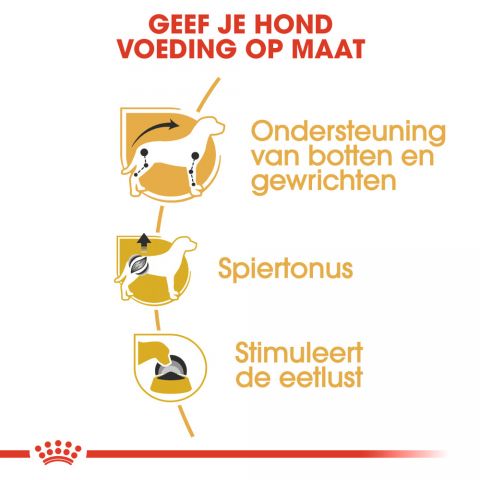 Royal Canin Dachshund Adult Pouch - Hondenvoer - 0,012 kg