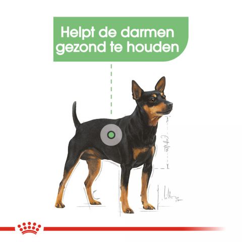 Royal Canin Digestive Care Wet - Hondenvoer - 0,012 kg