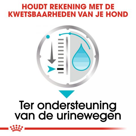 Royal Canin Urinary Care Wet - Hondenvoer - 0,012 kg