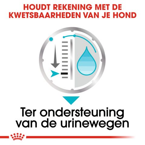Royal Canin Urinary Care Wet - Hondenvoer - 0,012 kg