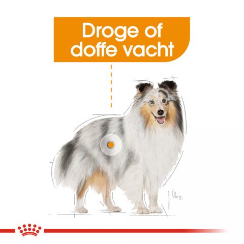 Royal Canin Coat Care Wet - Hondenvoer - 0,012 kg