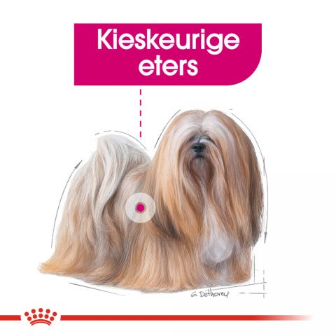 Royal Canin Exigent Wet - Hondenvoer - 0,012 kg