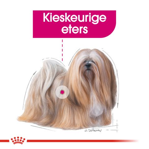 Royal Canin Exigent Wet - Hondenvoer - 0,012 kg
