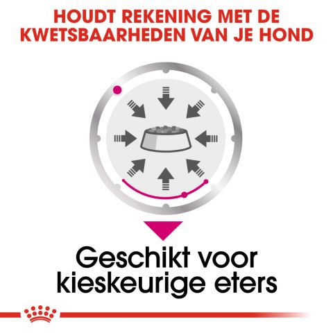 Royal Canin Exigent Wet - Hondenvoer - 0,012 kg