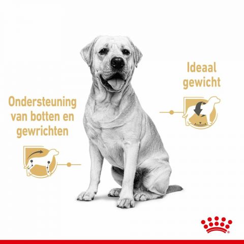 ROYAL CANIN® Adult Labrador Retriever Natvoer 10x 140gr - Hondenvoer - 0,01 kg