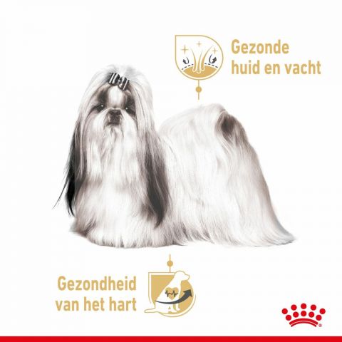 ROYAL CANIN® Adult Shih Tzu  Natvoer 12x85gr - Hondenvoer - 0,012 kg