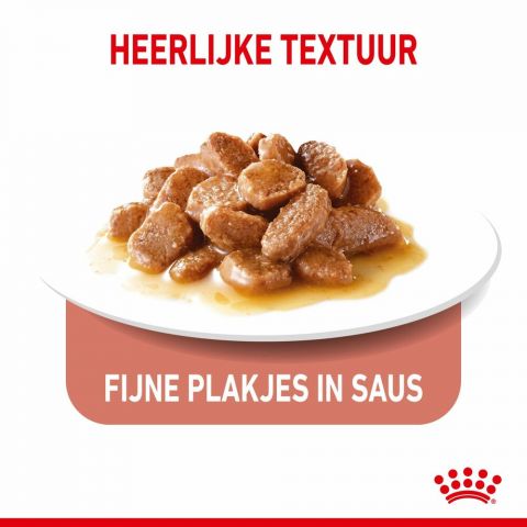 Royal Canin Appetite Control Care - Kattenvoer - 0,012 kg