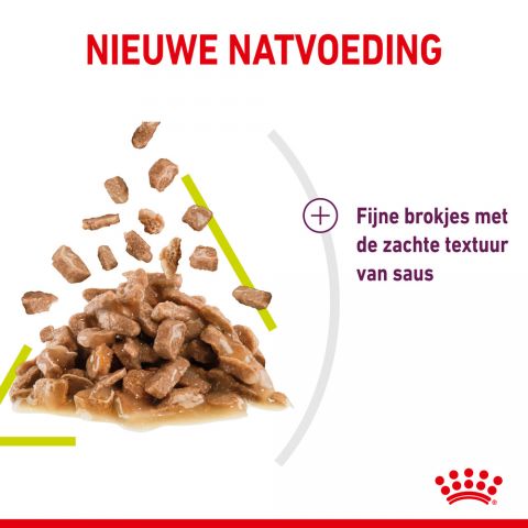 Royal Canin Sensory Smell - Kattenvoer - 0,012 kg