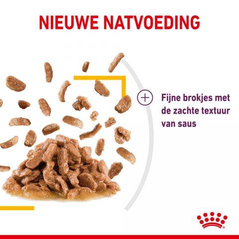 Royal Canin Sensory Taste - Kattenvoer - 0,012 kg