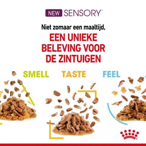 Royal Canin Sensory Feel - Kattenvoer - 0,012 kg