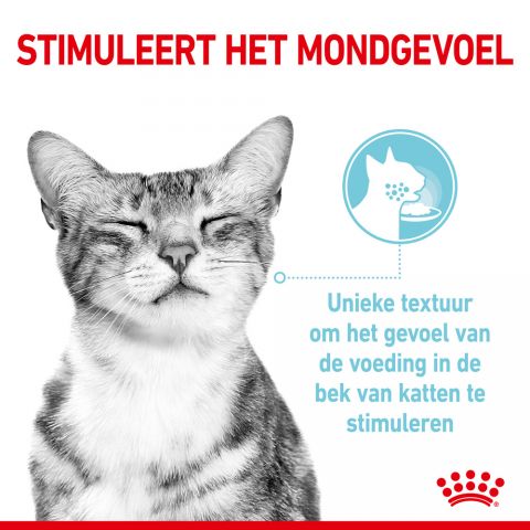 Royal Canin Sensory Feel - Kattenvoer - 0,012 kg