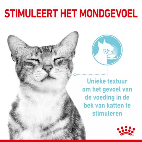 Royal Canin Sensory Multipack - Kattenvoer - 0,012 kg