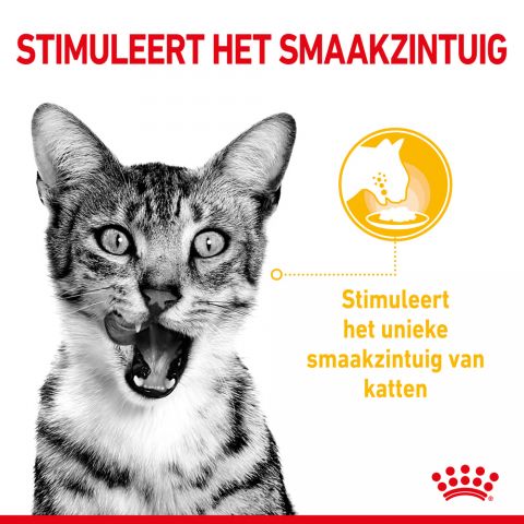 Royal Canin Sensory Multipack - Kattenvoer - 0,012 kg