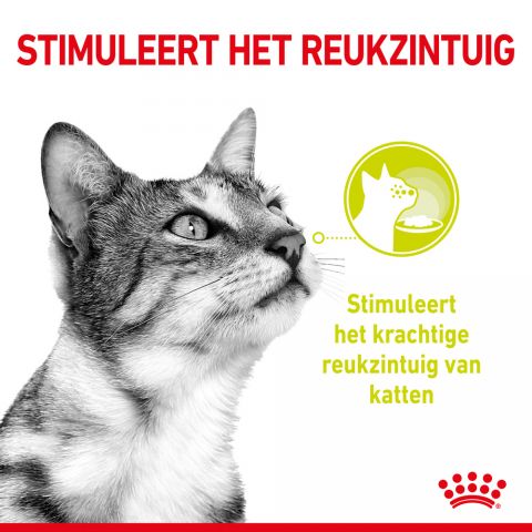 Royal Canin Sensory Multipack - Kattenvoer - 0,012 kg