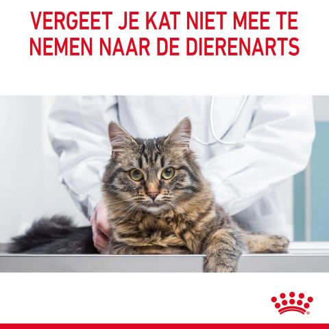 Royal Canin Urinary Care - Kattenvoer - 