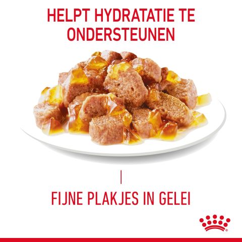 Royal Canin Urinary Care - Kattenvoer - 