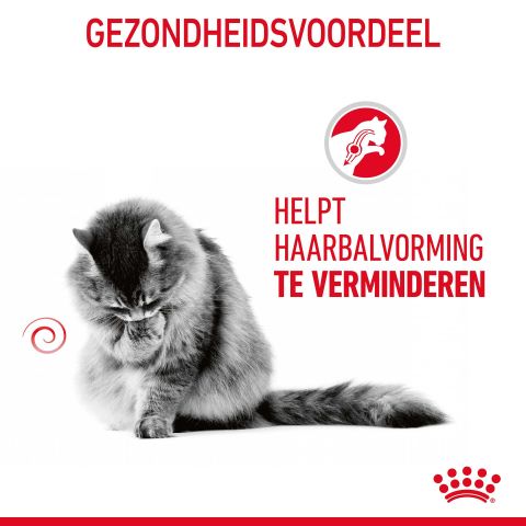 Royal Canin Hairball Care - Kattenvoer - 