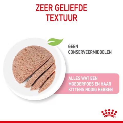 Royal Canin Mother & Babycat - Kattenvoer - 