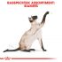 Royal Canin Siamese Adult - Kattenvoer - 400 gram