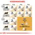 Royal Canin Siamese Adult - Kattenvoer - 400 gram