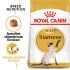 Royal Canin Siamese Adult - Kattenvoer - 4 kg