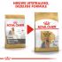 Royal Canin Yorkshire  Adult - Hondenvoer - 7,5 kg