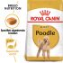 Royal Canin Poedel Adult  - Hondenvoer - 7,5 kg