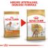 Royal Canin Poedel Adult  - Hondenvoer - 7,5 kg