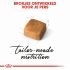 Royal Canin Persian Kitten - Kattenvoer - 4 kg
