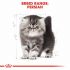 Royal Canin Persian Kitten - Kattenvoer - 4 kg