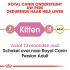 Royal Canin Persian Kitten - Kattenvoer - 4 kg