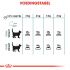 Royal Canin Hairball Care - Kattenvoer - 10 kg