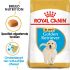 Royal Canin Golden Retriever Junior - Hondenvoer - 3 kg